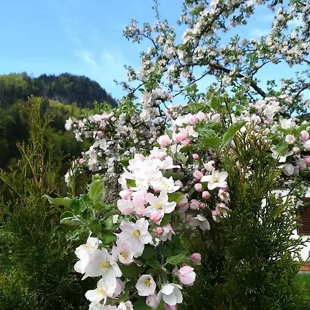 Appartementhaus Grill Apartment Strobl