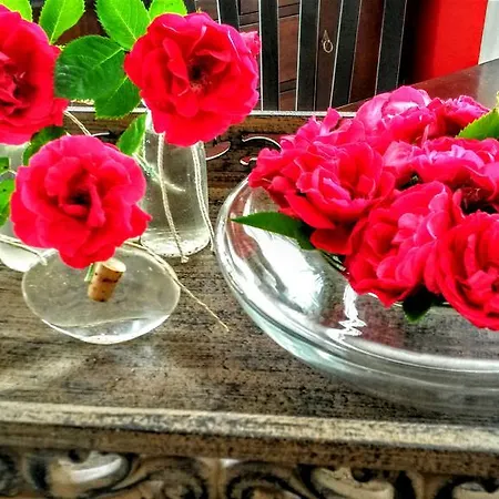 Appartementhaus Grill Strobl