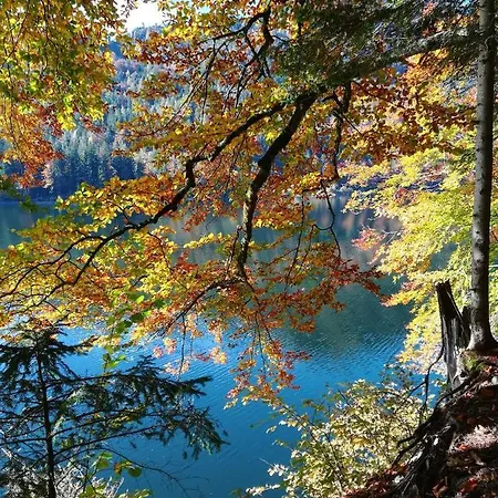 Apartmán Appartementhaus Grill *