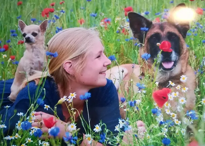 Appartement Appartementhaus Grill