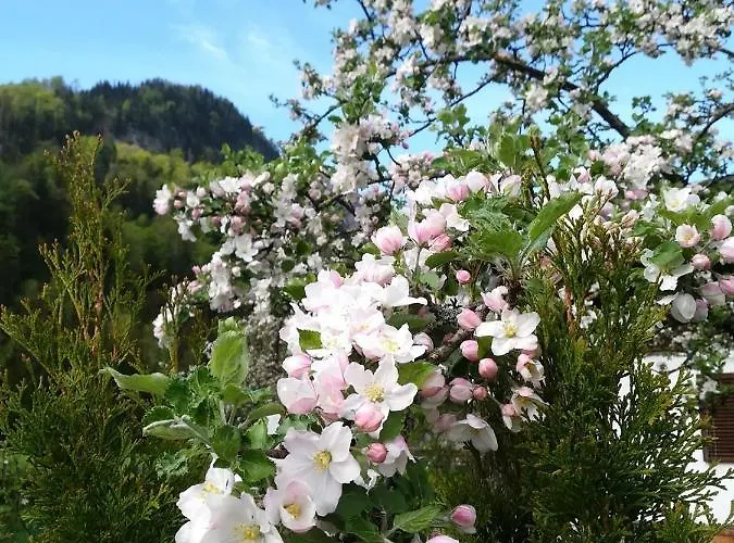 Appartementhaus Grill Appartement Strobl