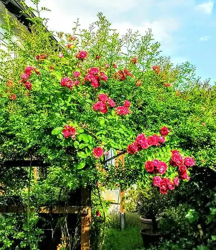 Appartementhaus Grill *