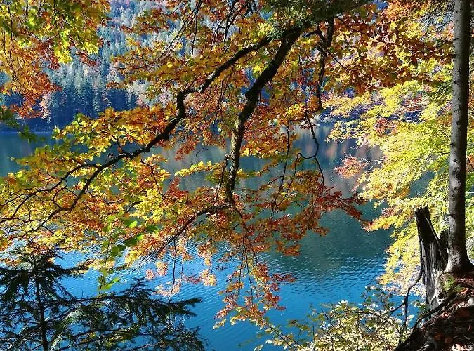 Apartmán Appartementhaus Grill *